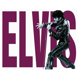 Elvis P. Leather 16x12 Metal Sign