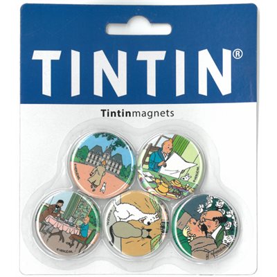 5 Aimants - Tintin