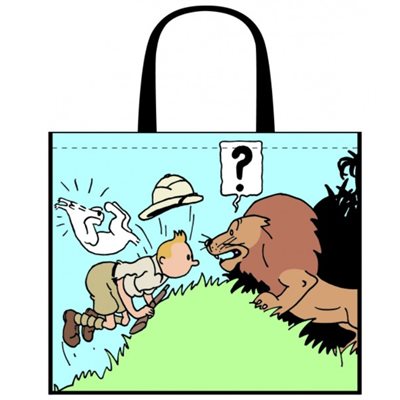 Sac impermeable Congo 45x38x20cm